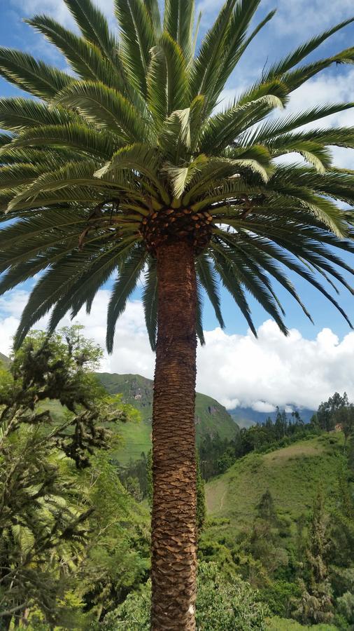El Encanto Sorata المظهر الخارجي الصورة